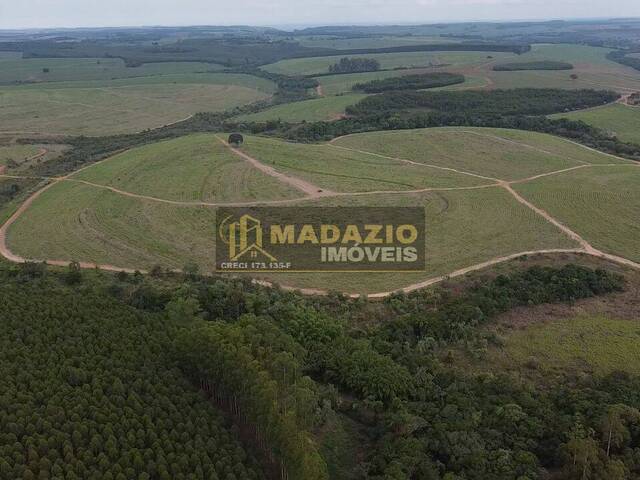 #1115 - Sítio para Venda em São Pedro - SP - 3
