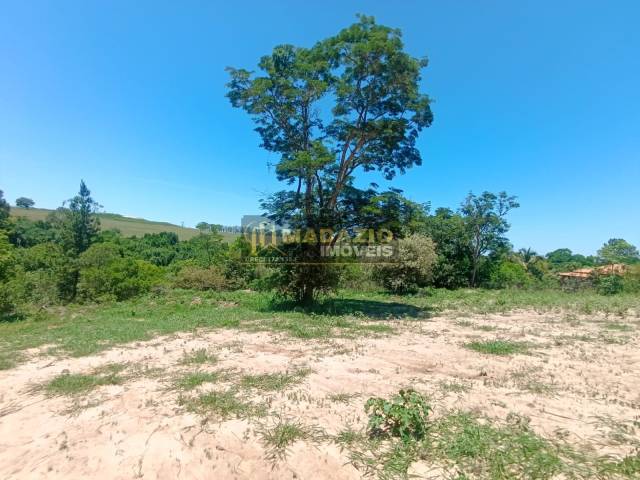 Chácara para Venda em São Pedro - 4