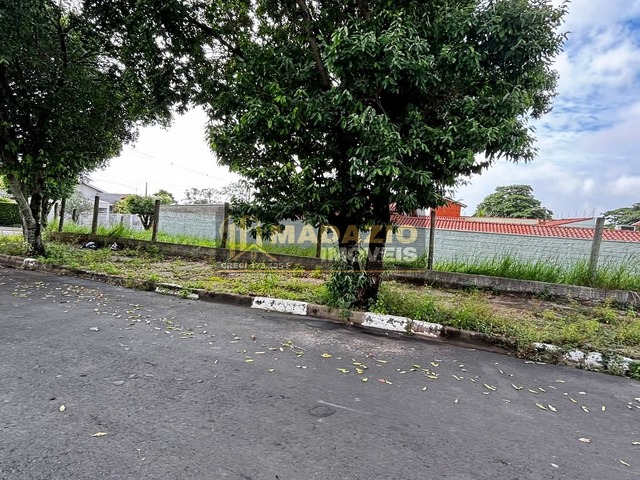 Terreno para Venda em São Pedro - 4