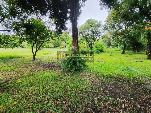 Chácara para Venda em São Pedro - 5