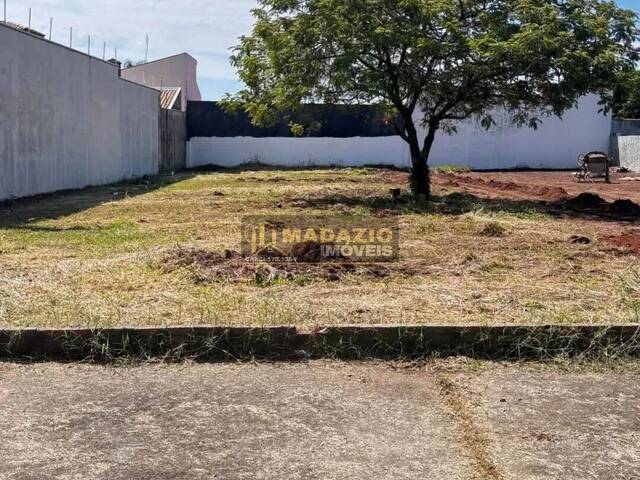 #1155 - Terreno para Venda em São Pedro - SP - 3