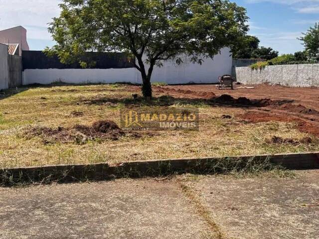 Terreno para Venda em São Pedro - 5