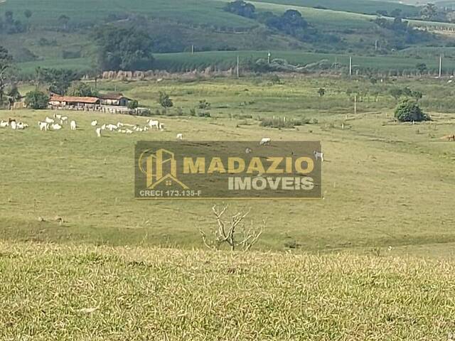 #1181 - Sítio para Venda em Piracicaba - SP - 3