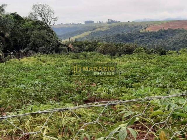 Chácara para Venda em São Pedro - 2
