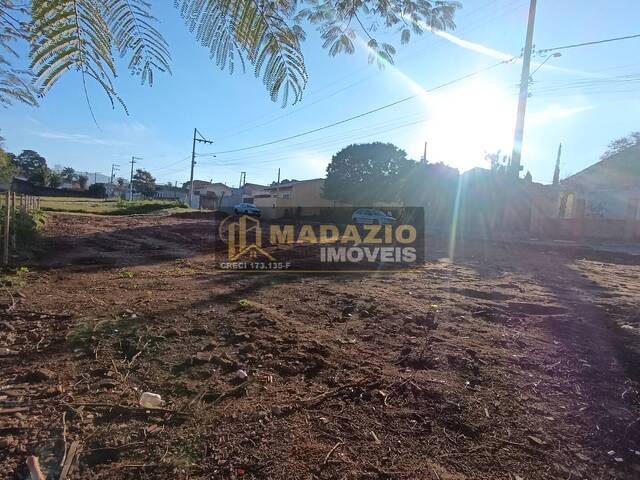 Terreno para Venda em São Pedro - 2
