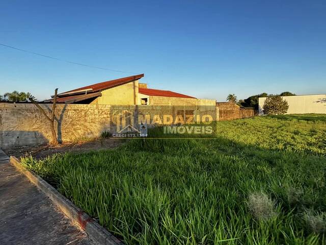 #1241 - Terreno para Venda em São Pedro - SP - 3