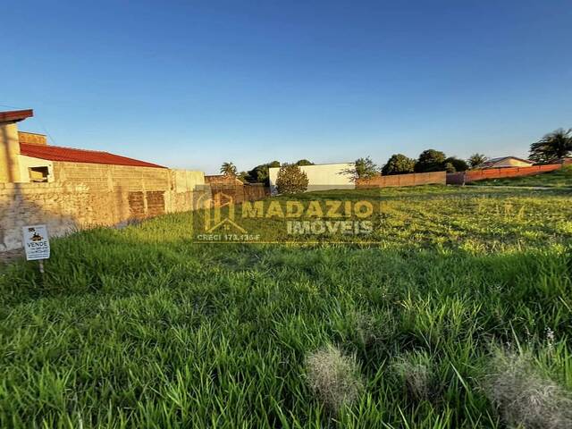 Terreno para Venda em São Pedro - 4
