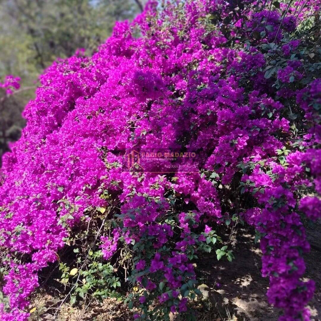 Terreno, 9 m² - Foto 2