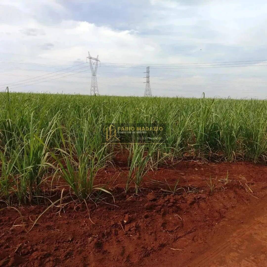 Terreno, 9 m² - Foto 3