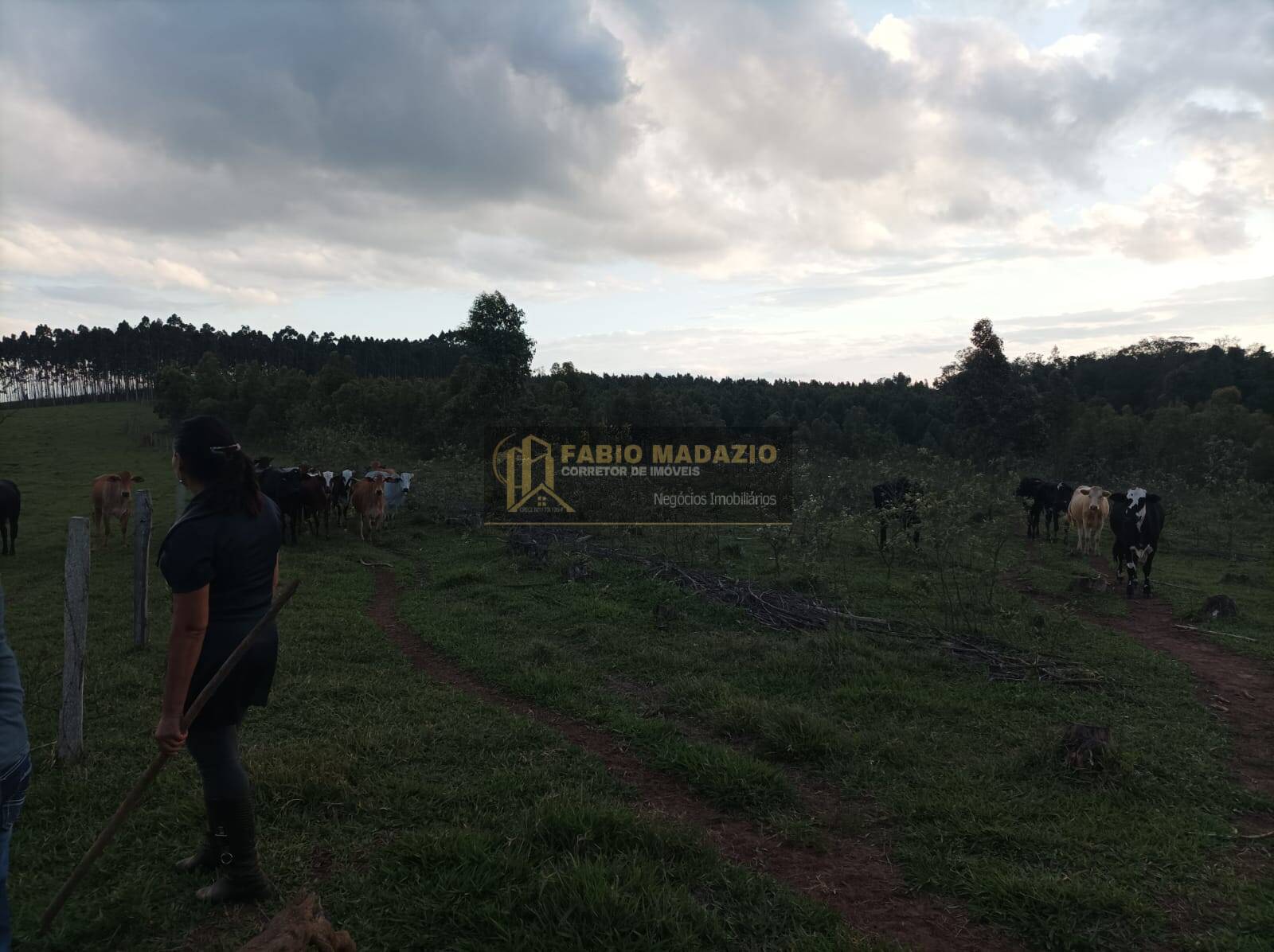 Terreno, 3 m² - Foto 6