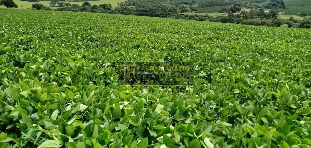 Terreno, 110 m² - Foto 6