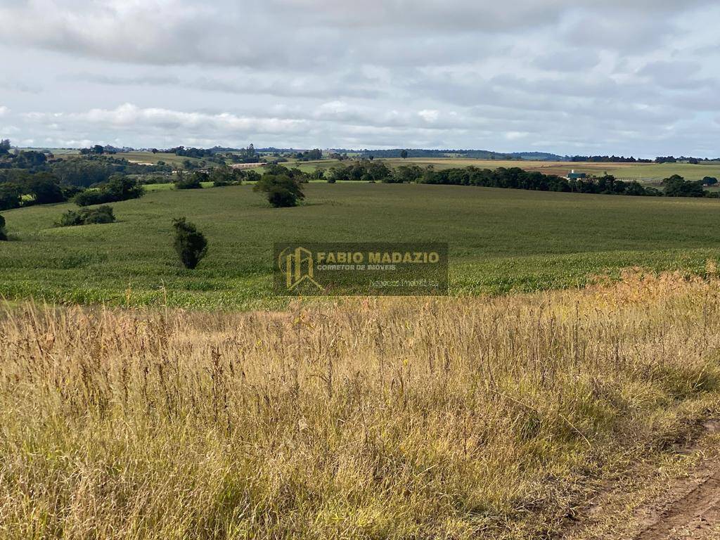 Terreno à venda, 43m² - Foto 4