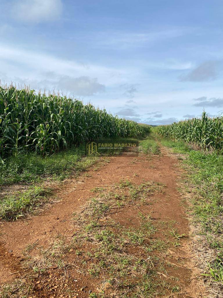 Terreno à venda, 43m² - Foto 2