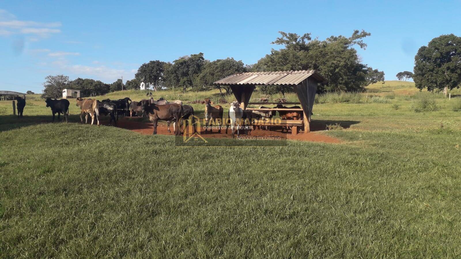 Terreno, 118 m² - Foto 6