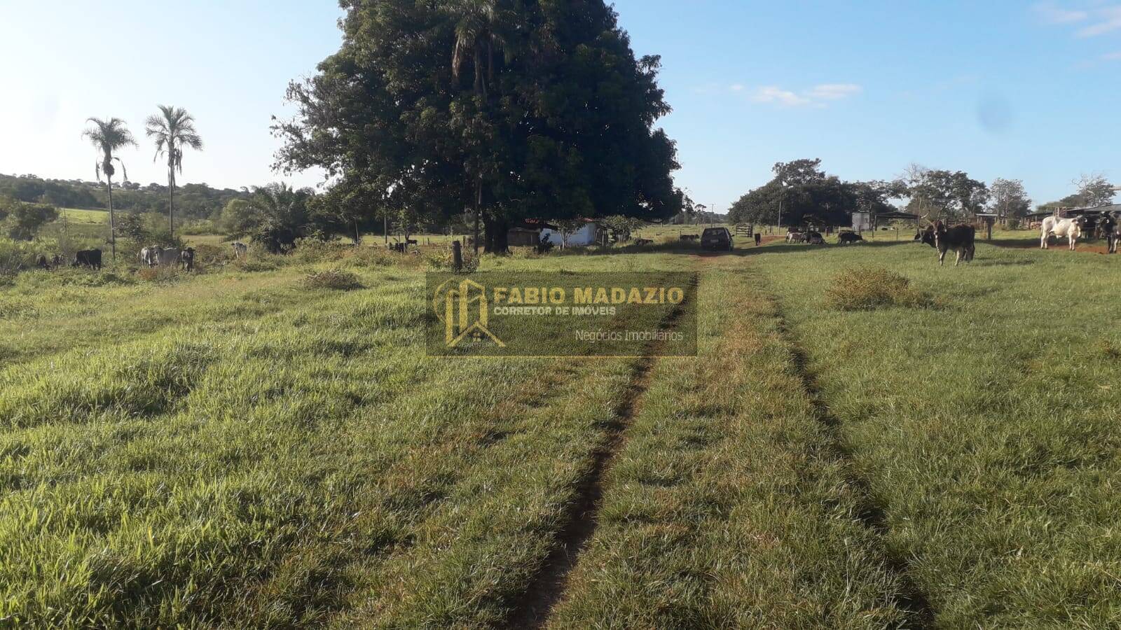 Terreno, 118 m² - Foto 7