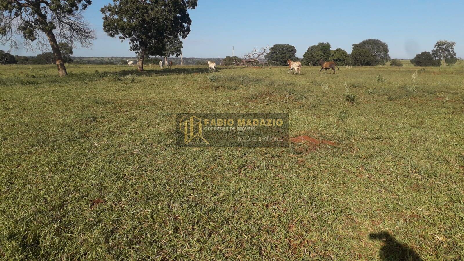 Terreno, 118 m² - Foto 15