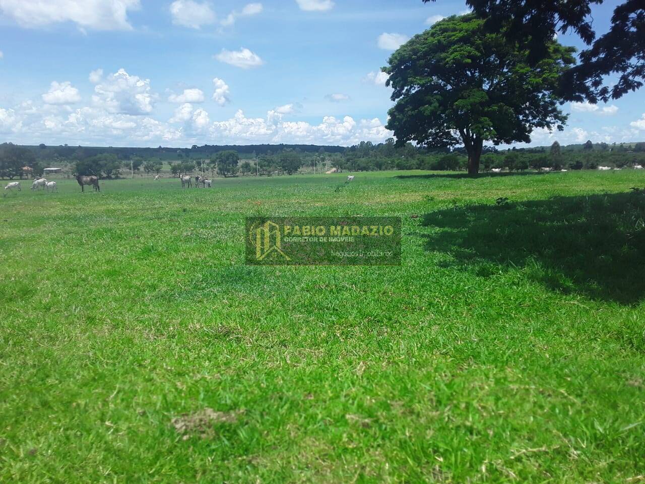 Terreno, 68 m² - Foto 7