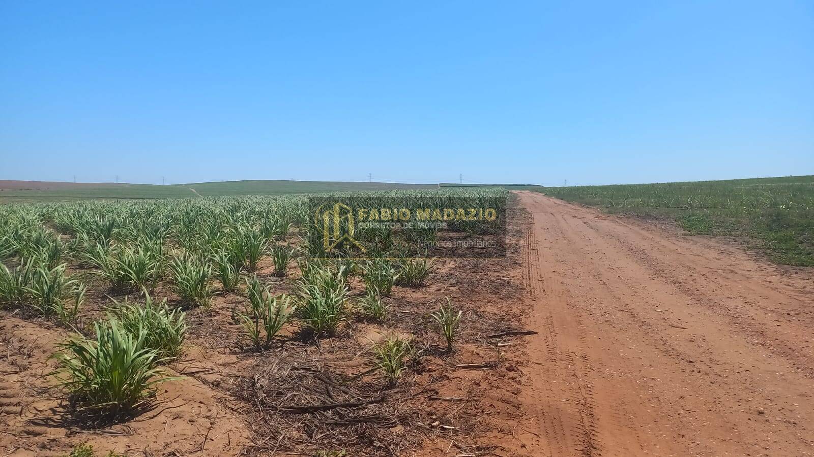 Terreno, 142 m² - Foto 2