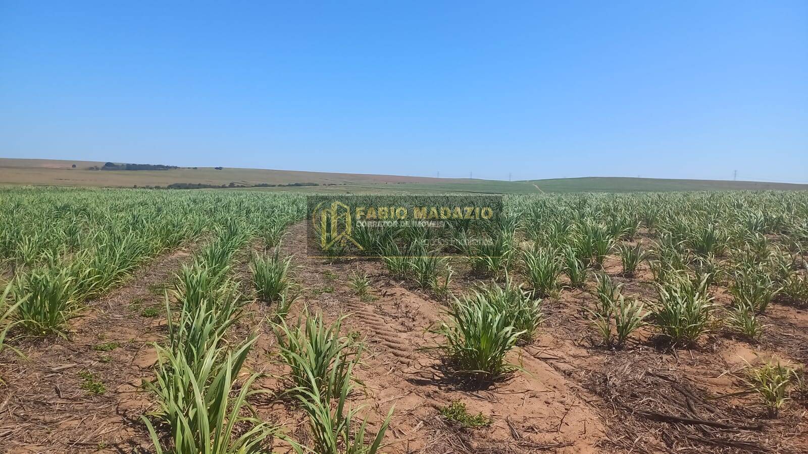 Terreno, 142 m² - Foto 6