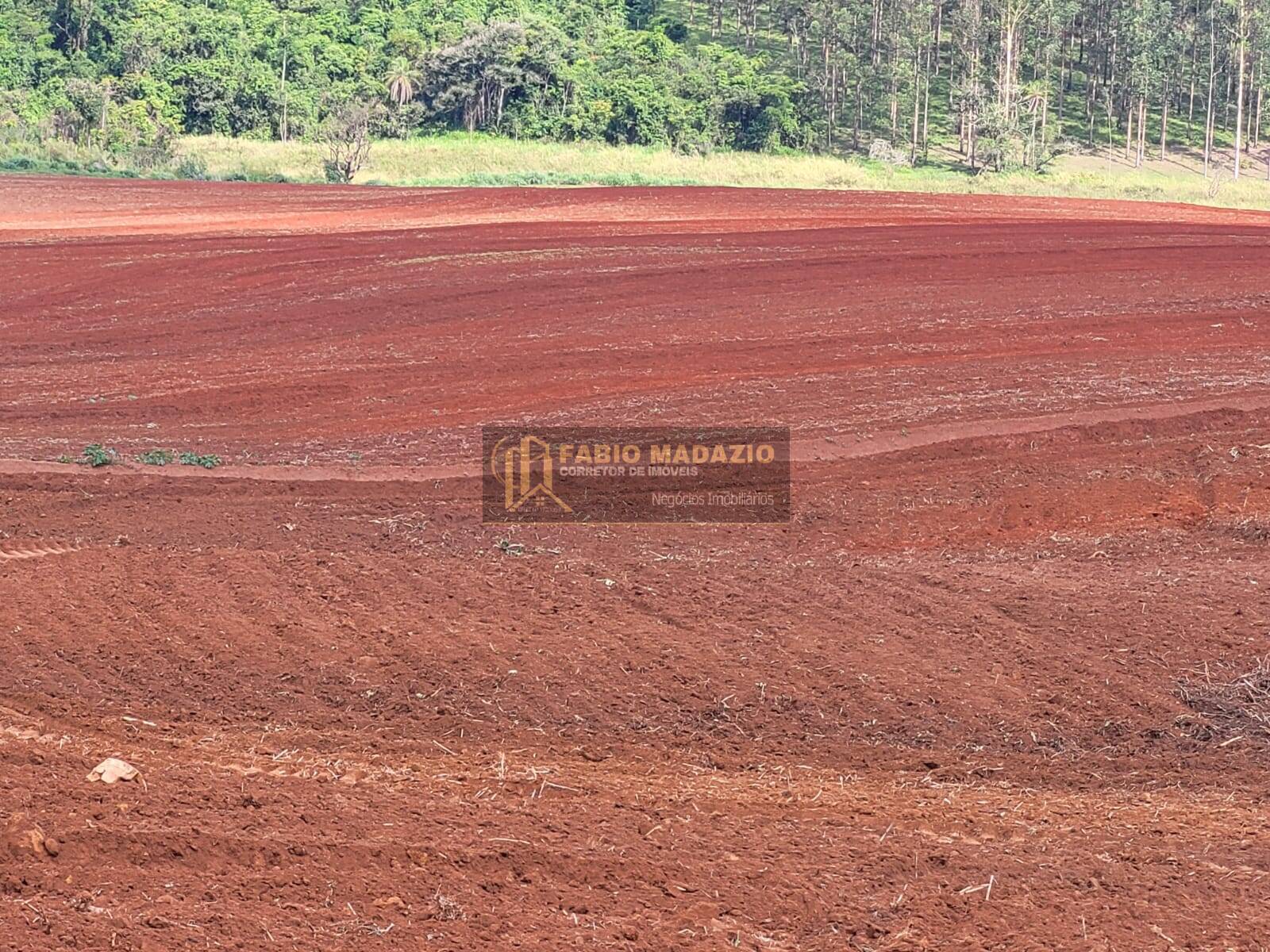 Terreno à venda, 25m² - Foto 1