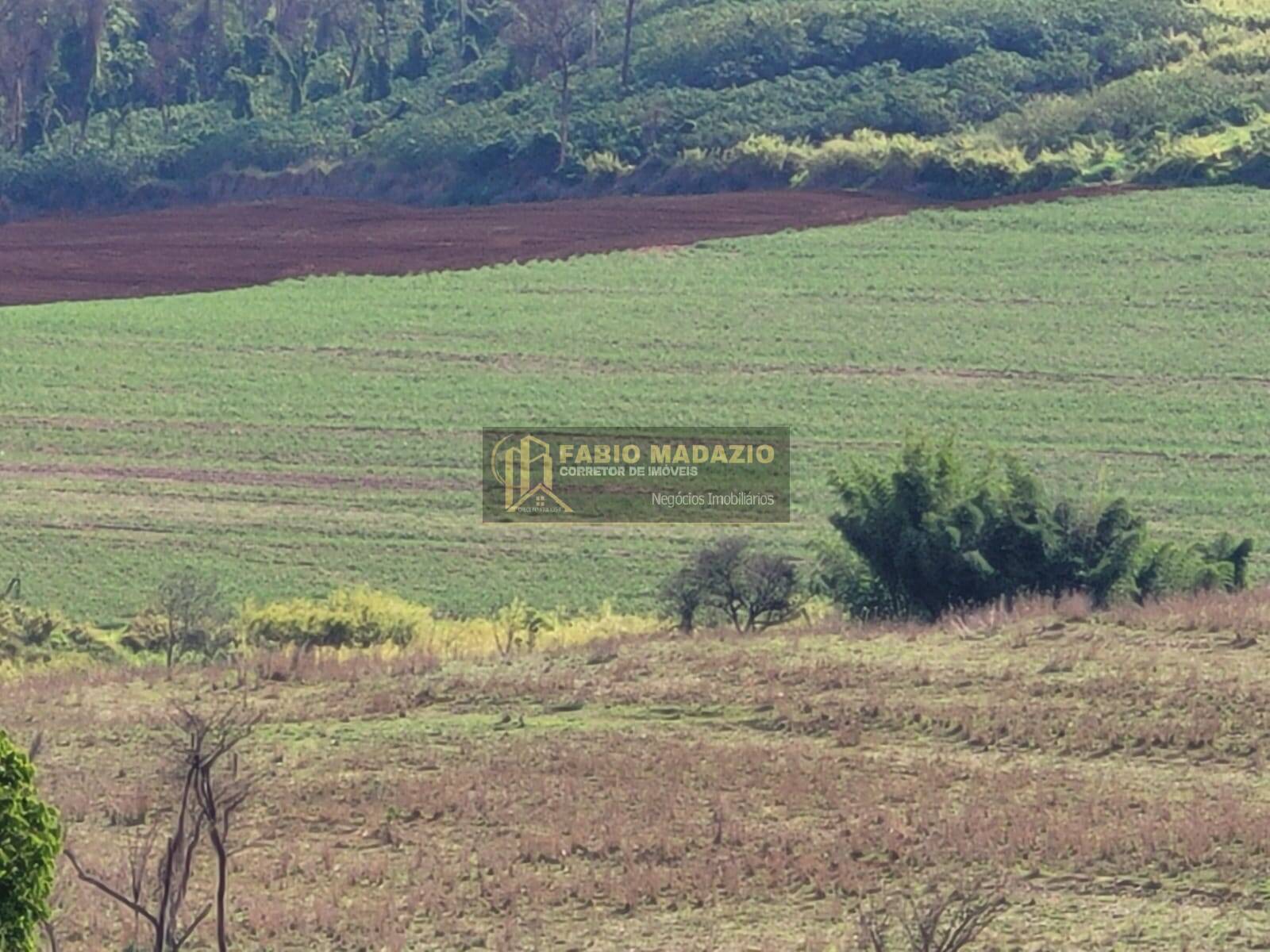 Terreno à venda, 25m² - Foto 3