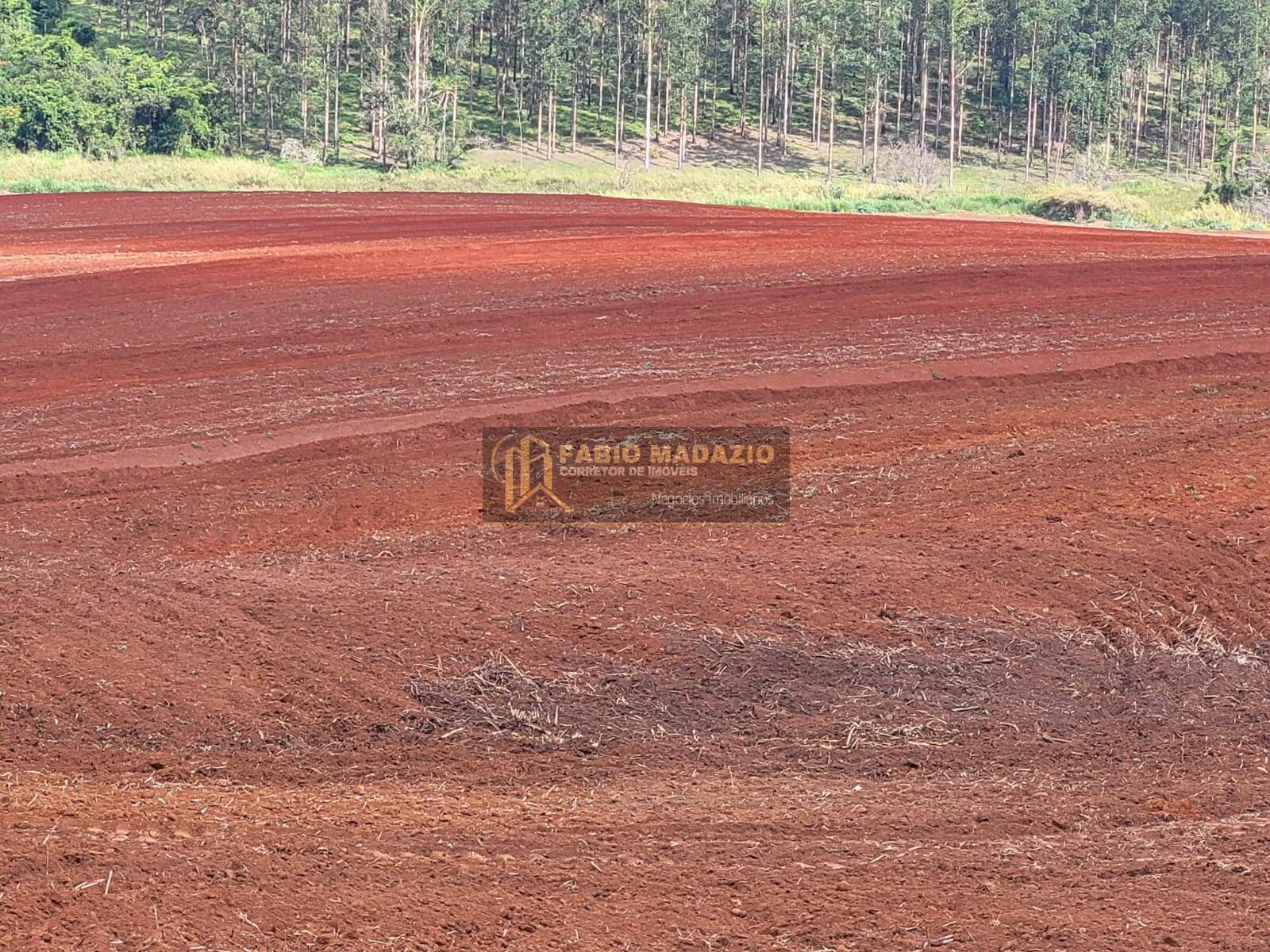 Terreno à venda, 25m² - Foto 6