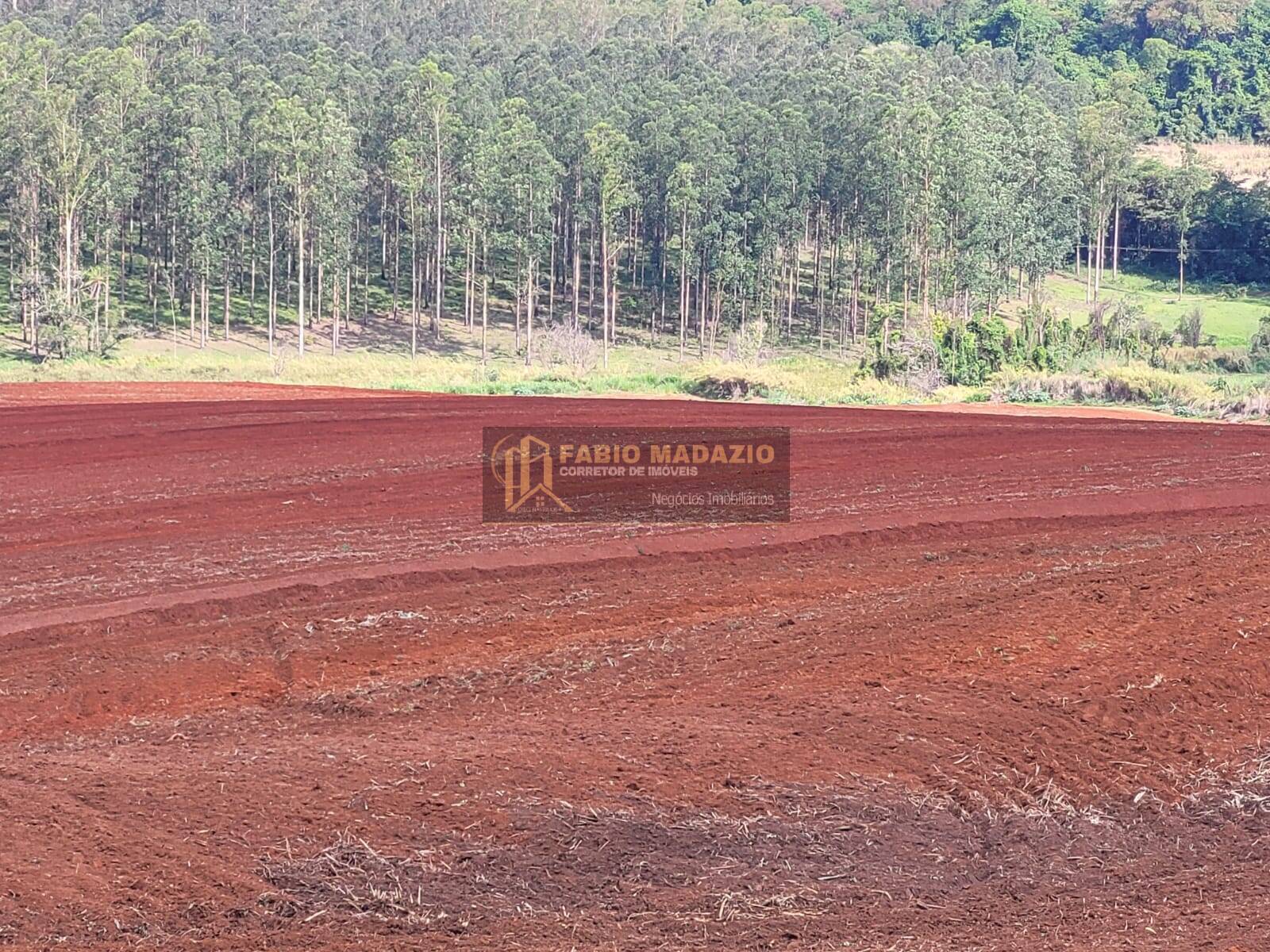 Terreno à venda, 25m² - Foto 15