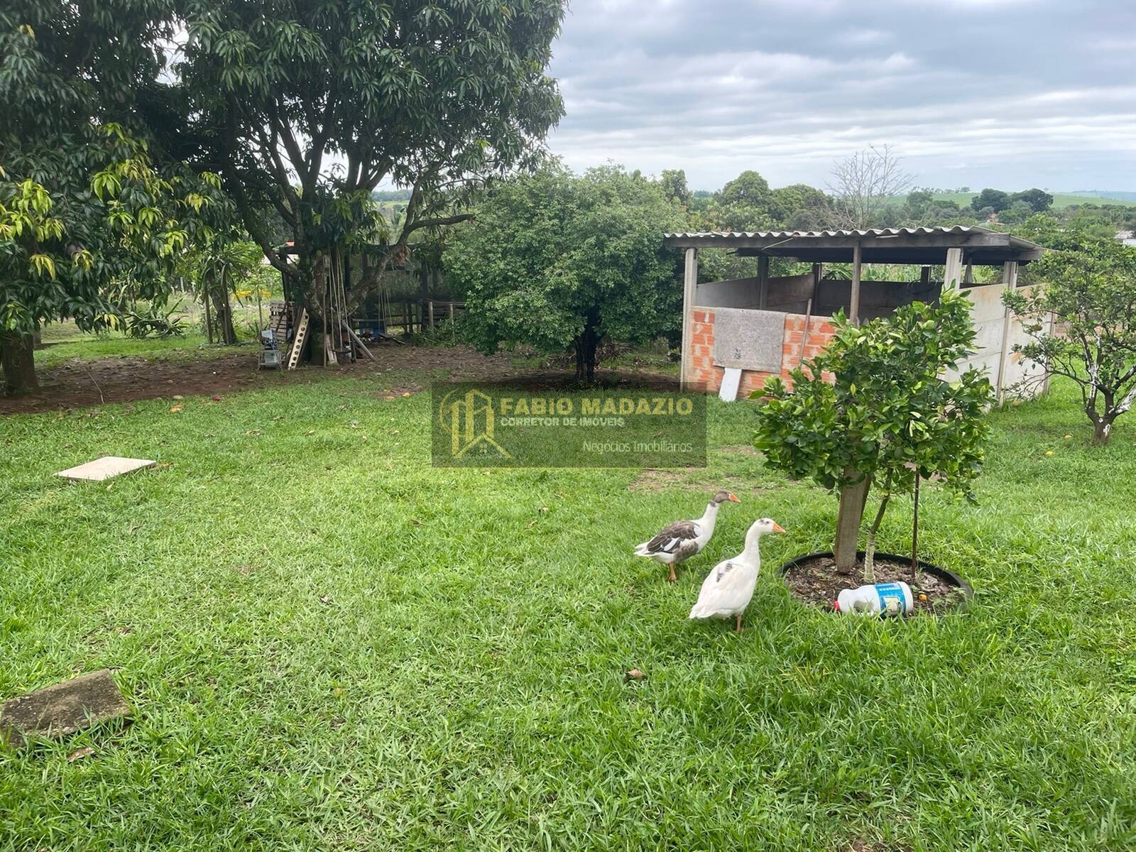 Chácara, 3 quartos, 5000 m² - Foto 2