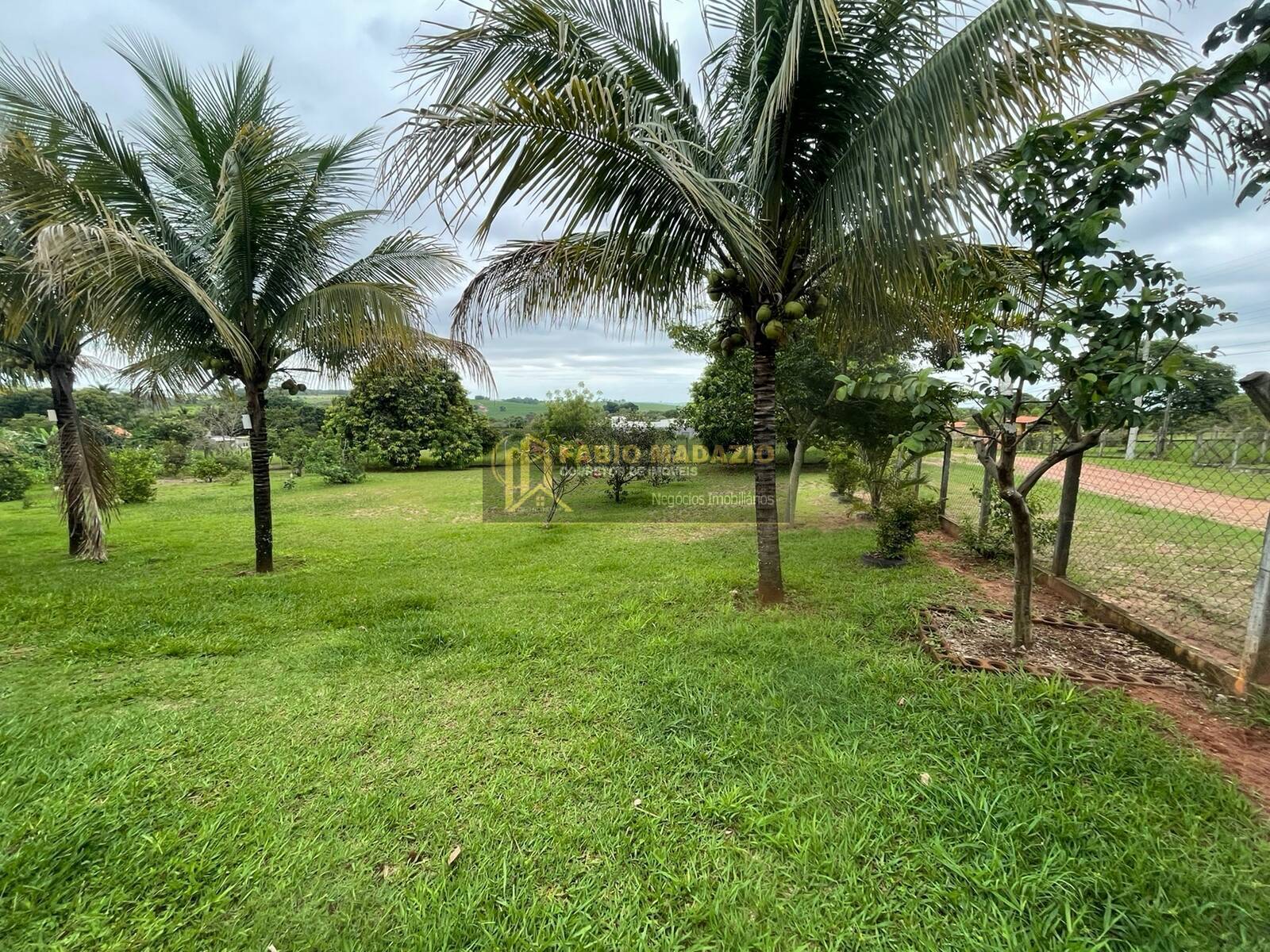 Chácara, 3 quartos, 5000 m² - Foto 8