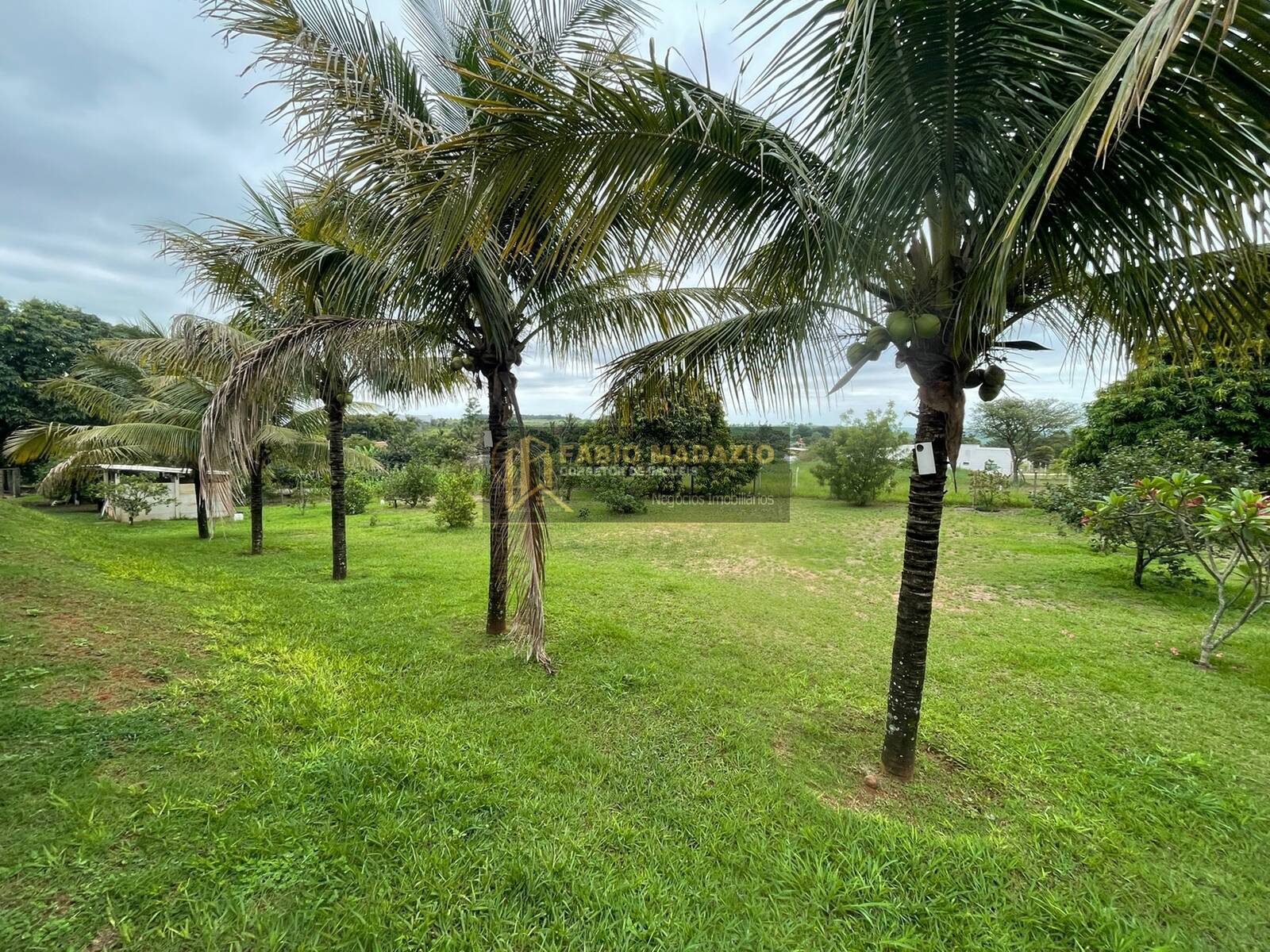 Chácara, 3 quartos, 5000 m² - Foto 9