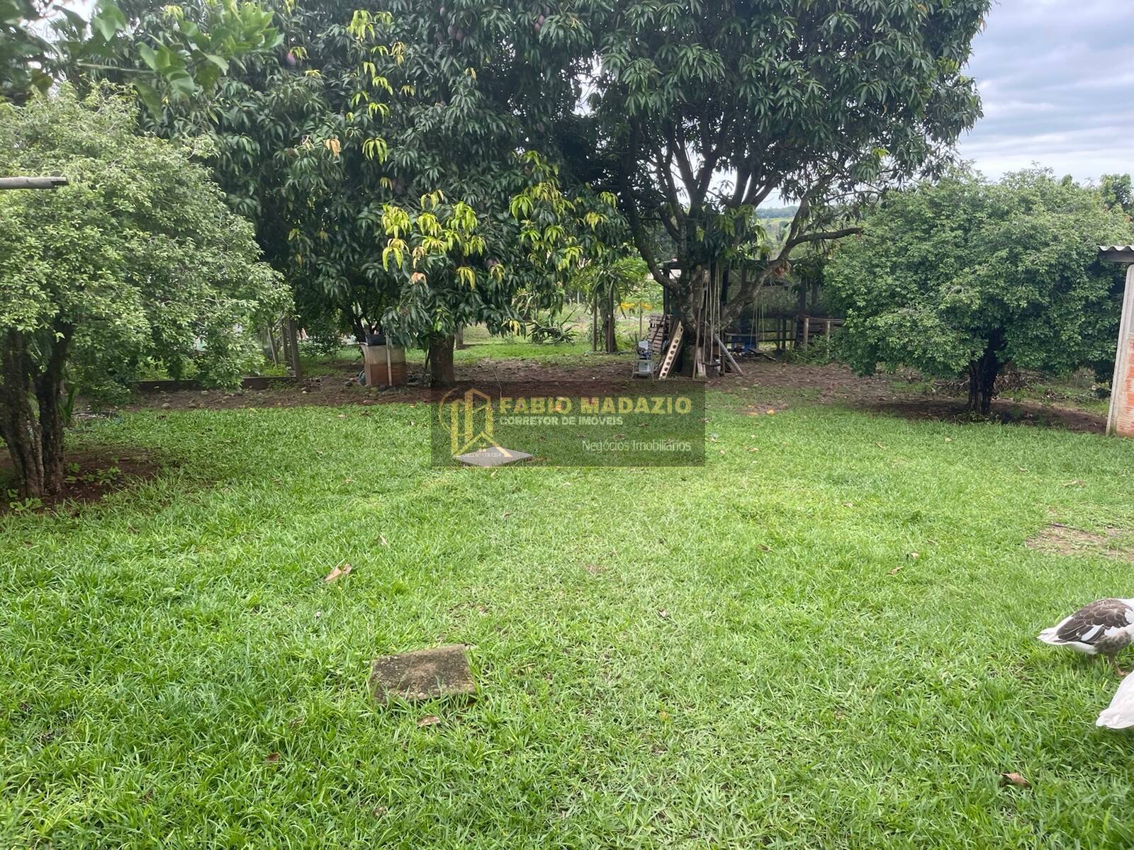 Chácara, 3 quartos, 5000 m² - Foto 21