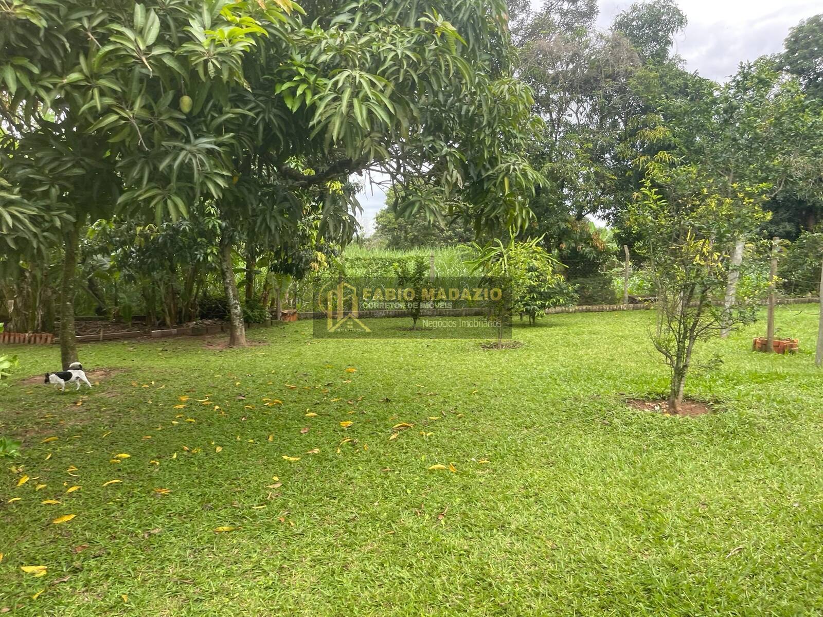 Chácara, 4 quartos, 5000 m² - Foto 12