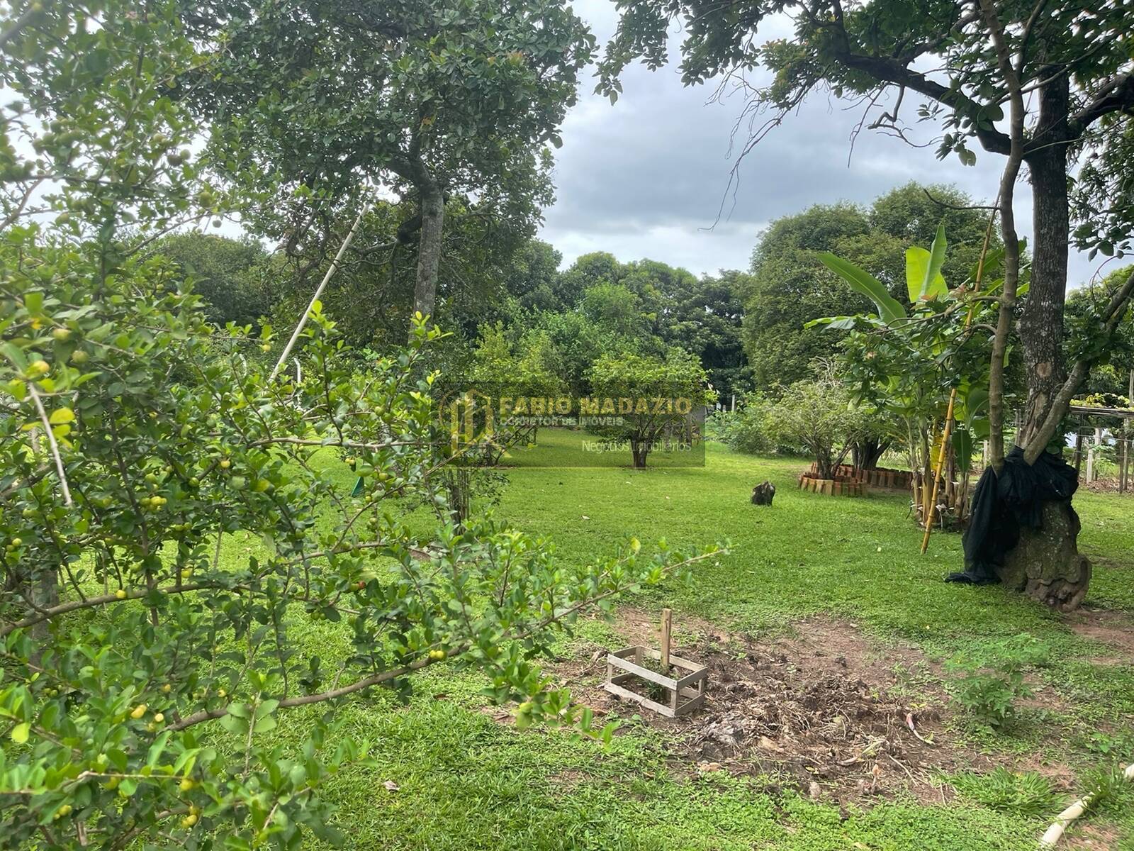 Chácara, 4 quartos, 5000 m² - Foto 20