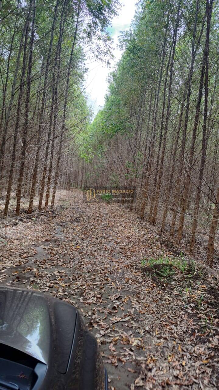 Terreno, 25 m² - Foto 4