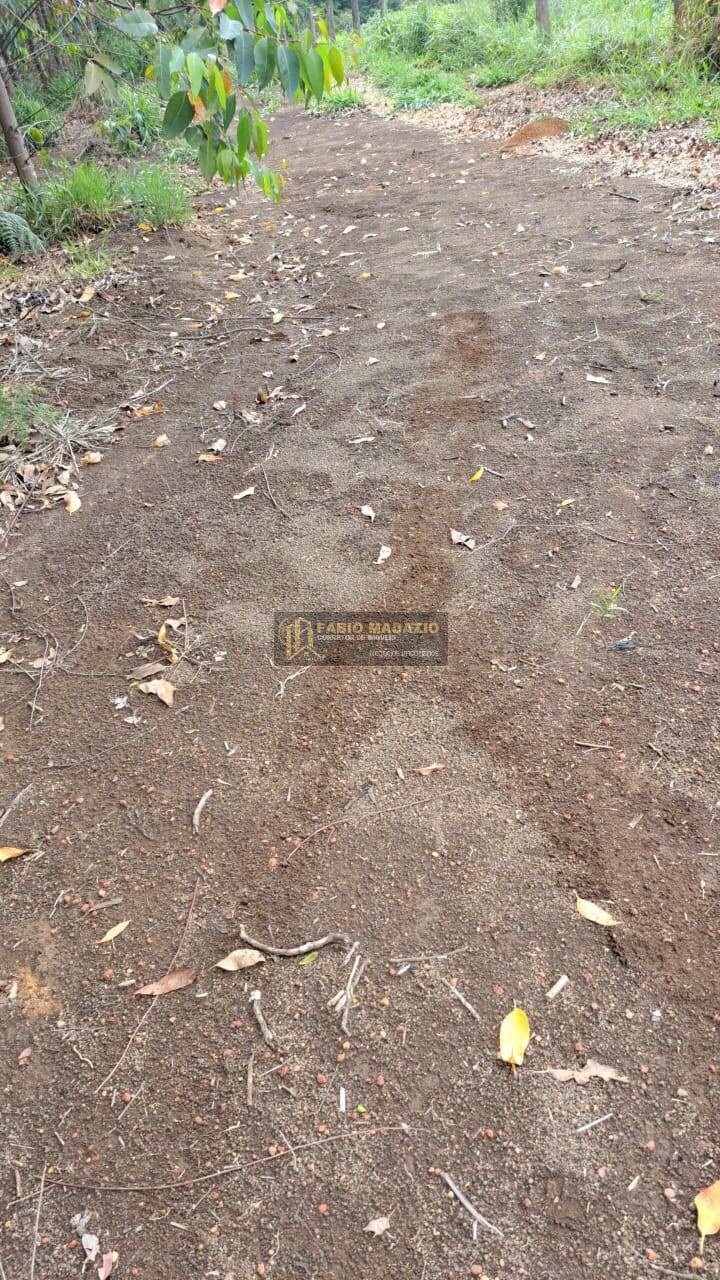 Terreno, 25 m² - Foto 5