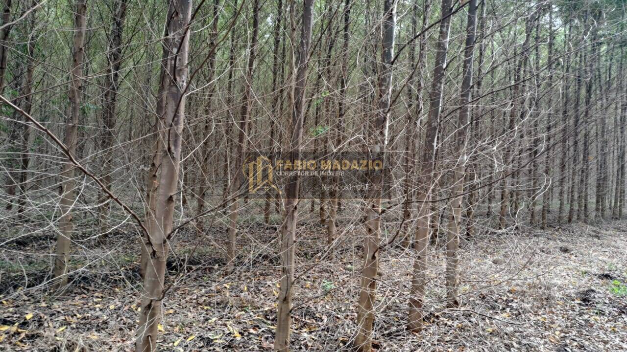 Terreno, 25 m² - Foto 12