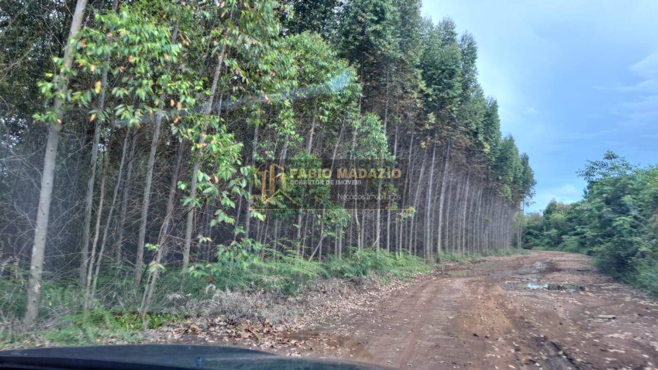 Terreno, 25 m² - Foto 13