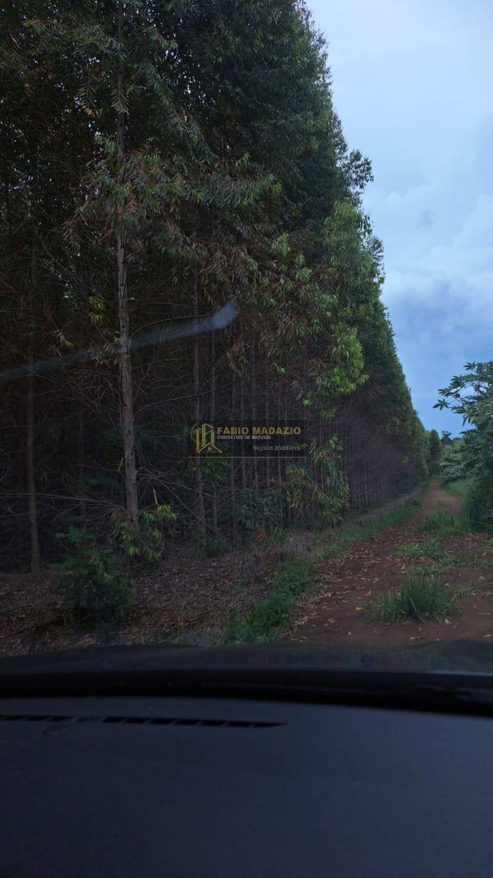 Terreno, 25 m² - Foto 17