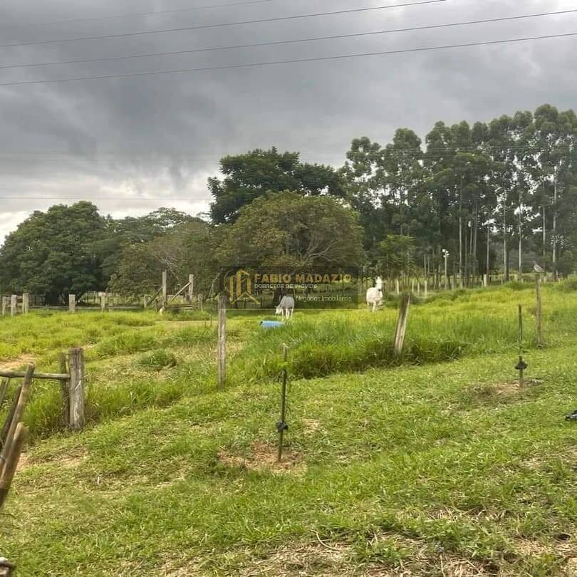 Terreno, 2 hectares - Foto 5