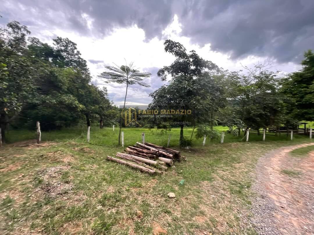 Terreno, 2 hectares - Foto 6