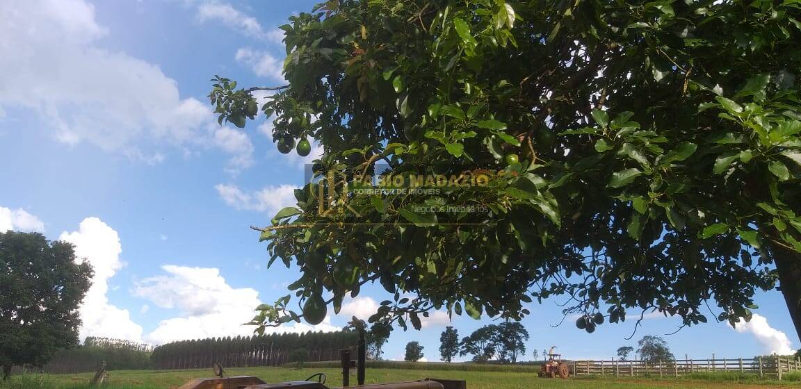 Terreno, 20 m² - Foto 4