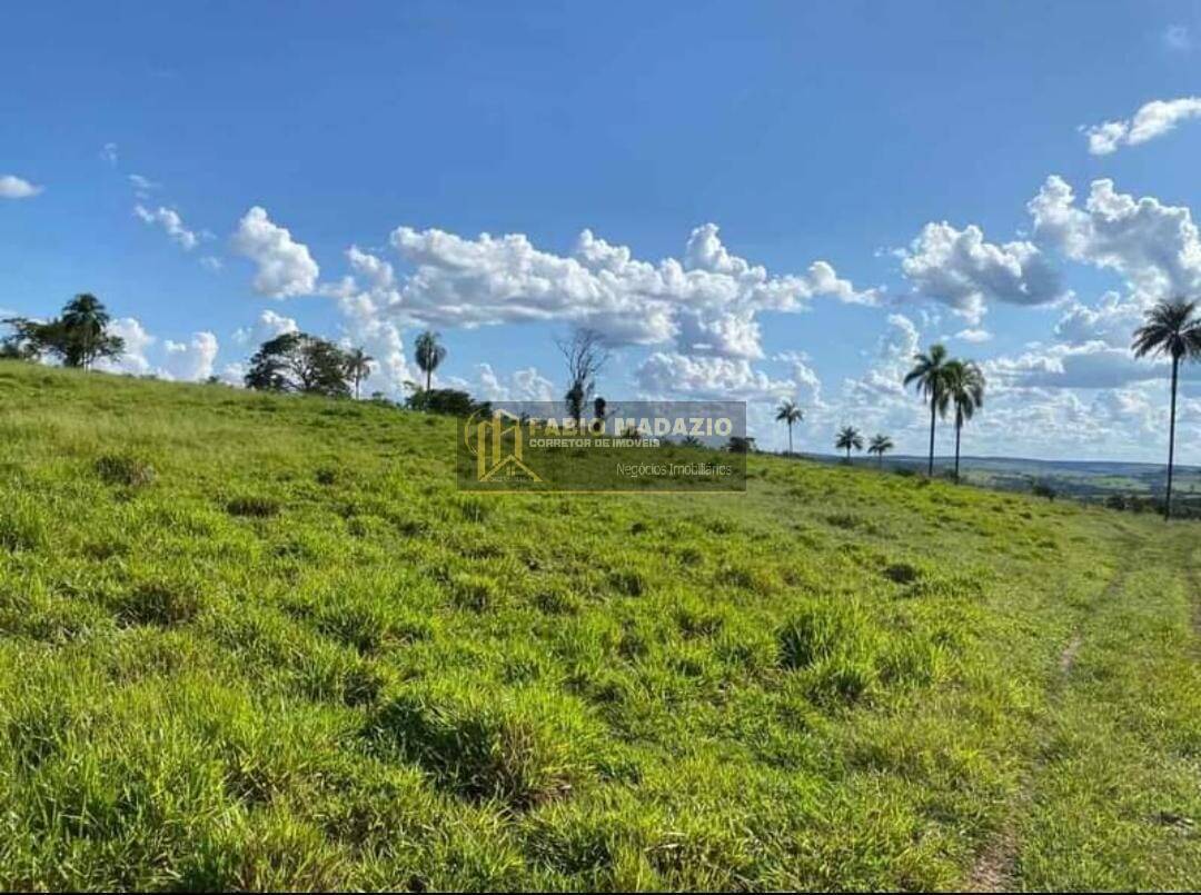 Terreno à venda, 170m² - Foto 6