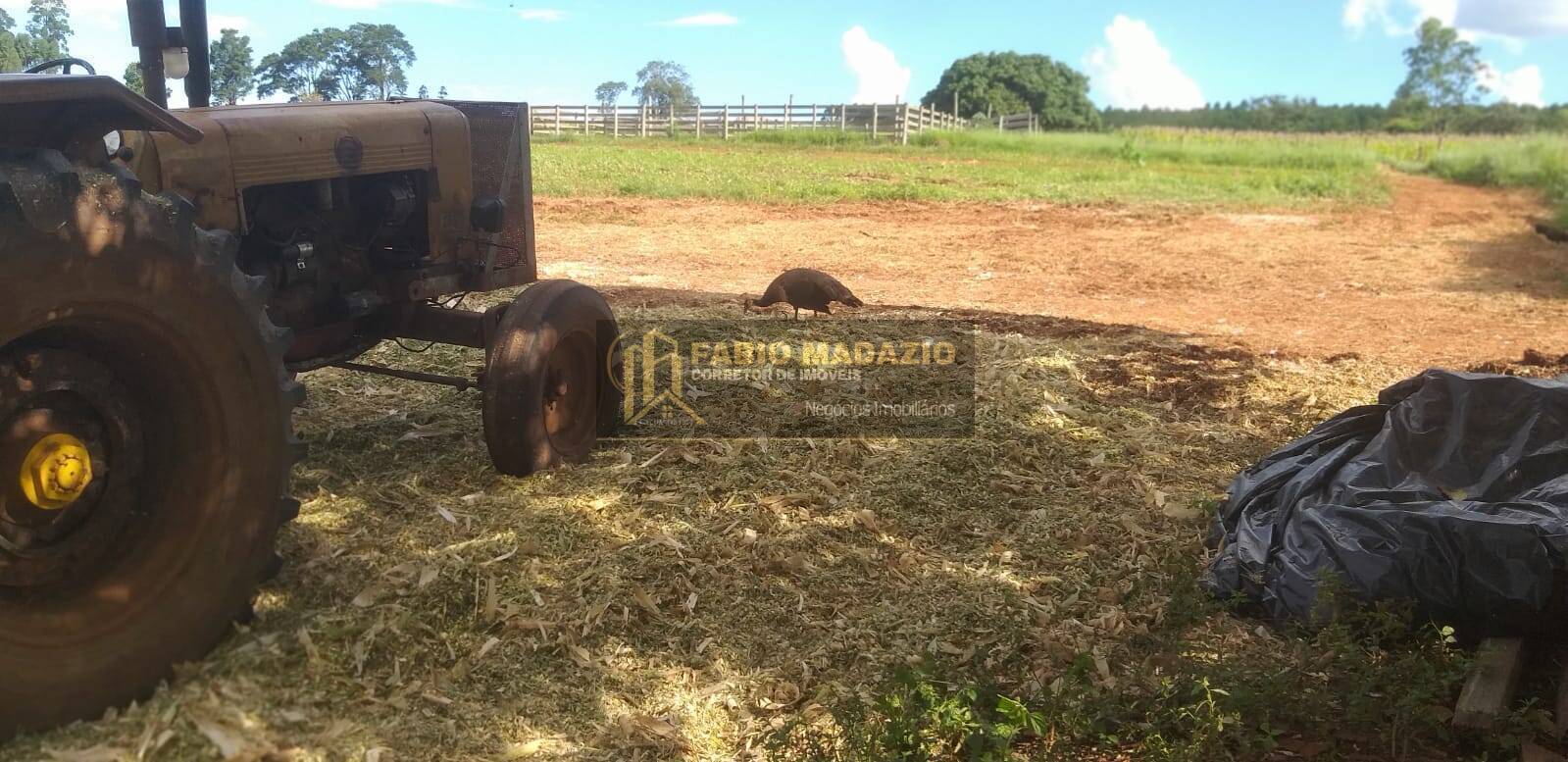 Terreno, 20 m² - Foto 3