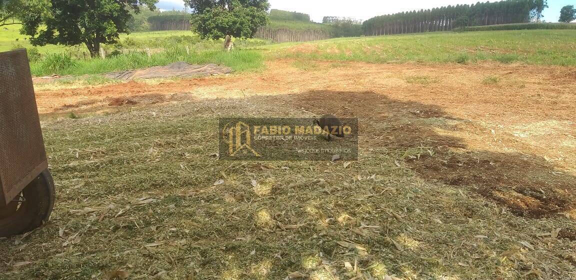 Terreno, 20 m² - Foto 7