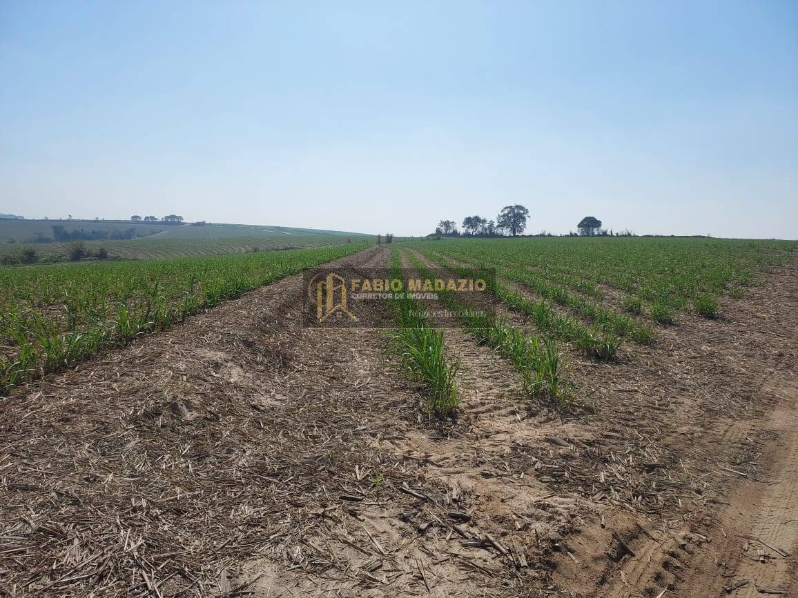 Terreno à venda, 396m² - Foto 2