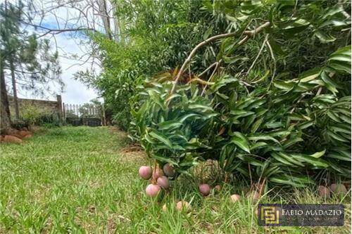 Chácara à venda com 3 quartos, 140m² - Foto 9