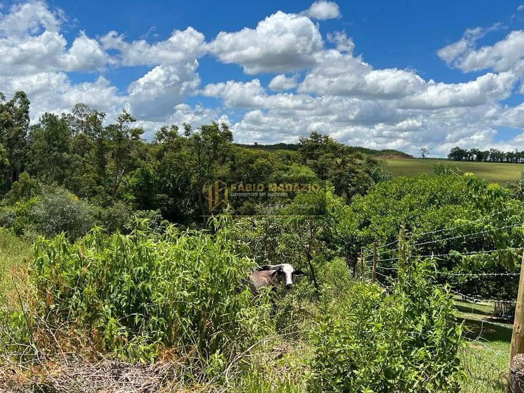 Terreno à venda, 5400m² - Foto 7