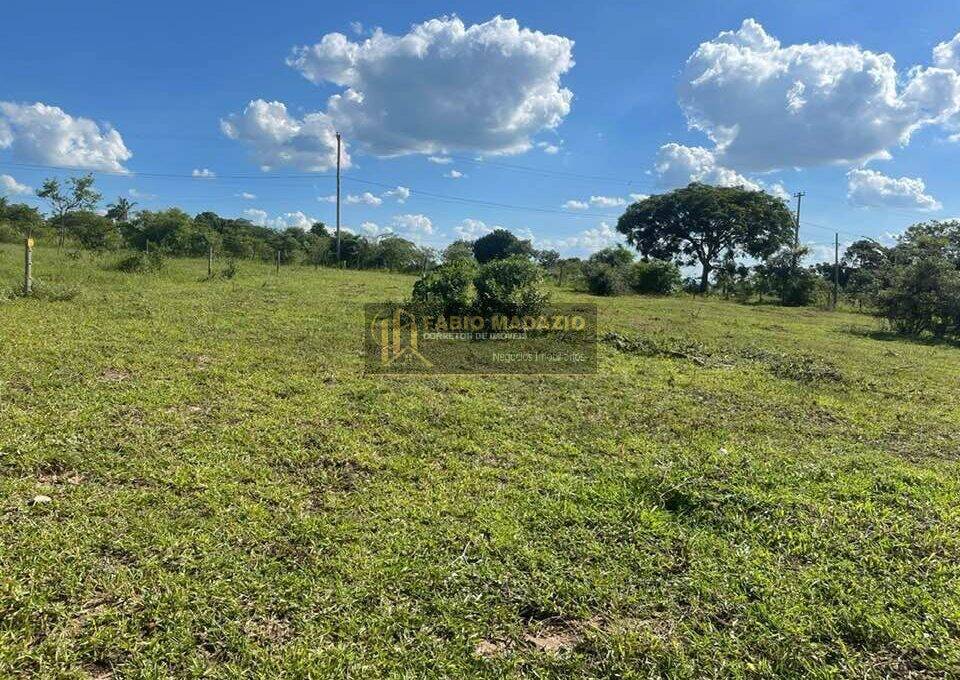 Terreno, 5000 m² - Foto 8