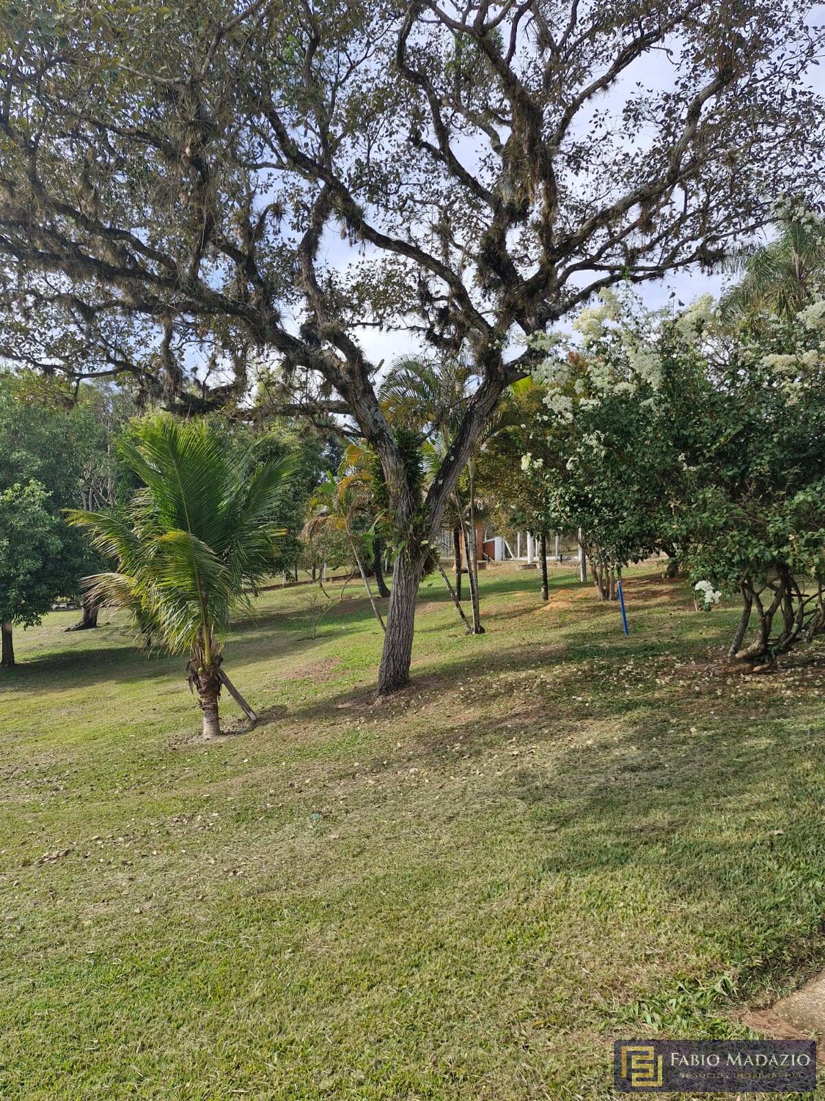Chácara à venda com 5 quartos, 1000m² - Foto 36