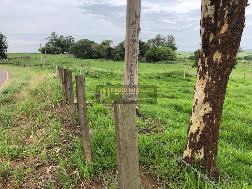Terreno, 240 m² - Foto 7